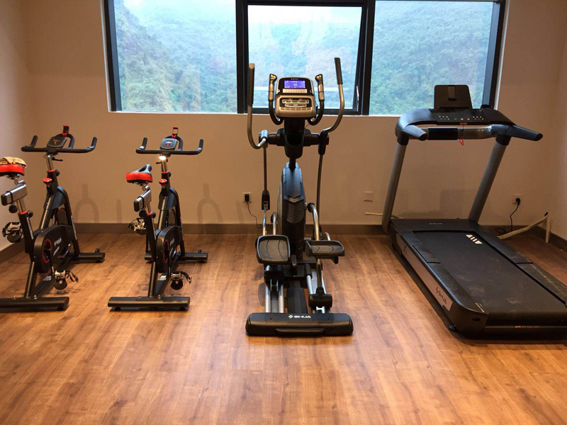 室内健身器材,单位健身器材,健身器材十大品牌-广西米兰·(milan)中国健身器材有限公司