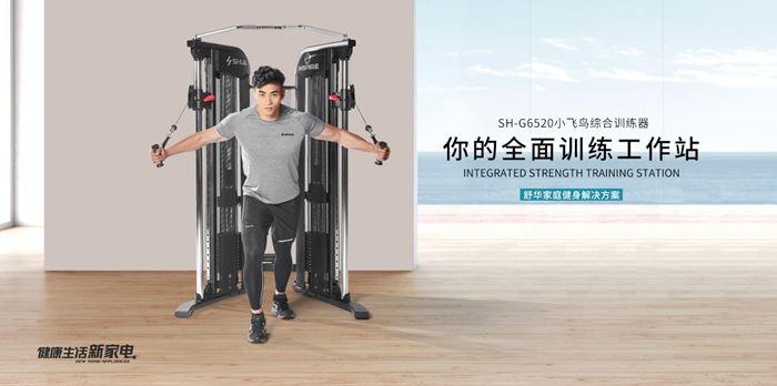 米兰健身器材-小飞鸟综合训练器SH-G6520 米兰健身器材-小飞鸟综合训练器SH-G6520